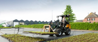 KTR Insight, Story: Fleißig wie die Ameisen, Titelbild KTR Insight, Story: Fleißig wie die Ameisen, Titelbild