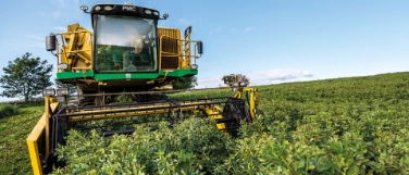 KTR Insight, Story: Gutes Gemüse, Titelbild KTR Insight, Story: Gutes Gemüse, Titelbild